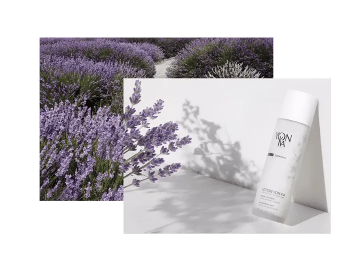 Yon-KA_Nos_valeurs_Nos_piliers_Naturalite__1.webp
